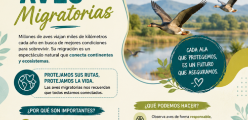 Día Mundial de las Aves Migratorias.