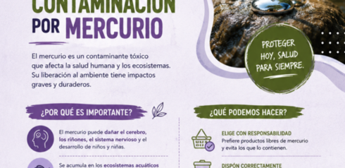Día de Acción contra la Contaminación por Mercurio.
